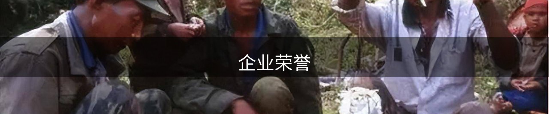 企业荣誉